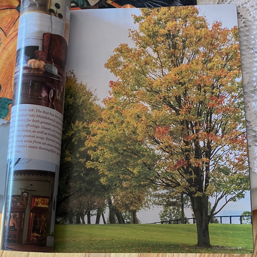 Victoria Magazine Autumn Issue - Picture 4 of 9